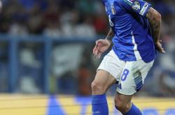 乐鱼体育教练-意大利队主力伤愈归队，备战下一轮联赛的简单介绍